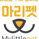 마리애견 이미지