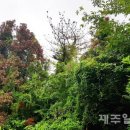 제주산림항공관리소 이미지