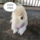 엑시트 맨즈 헤어 네이버블로그