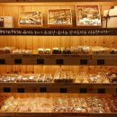 하레하레 이미지