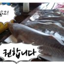 동북아식품협동조합 이미지