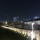 마린marin
