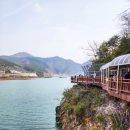 느림보강물길 | 단양 잔도길&amp;느림보강물길5코스 트레킹(24년3월)