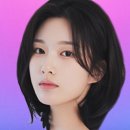 시그널 bnt뉴스
