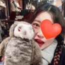 헤르마이온