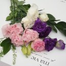 언덕배기꽃식물원 이미지