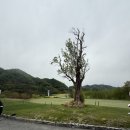 플레이어스 | 🏌️‍♂️ 클럽디 더 플레이어스 솔직 후기 – “깔끔하긴 해, 근데 뭔가 한 끗 아쉬움?”