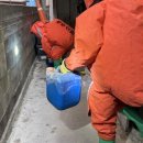 제주밧데리 이미지