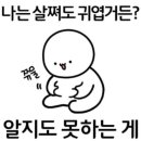 파리바게뜨파동가창점 이미지