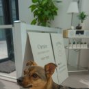 오르네(ornee) 이미지