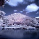 진도 운림산방 주차·연못 포토존 체크