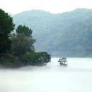 대청호반 이미지