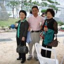 성산초등학교 티스토리