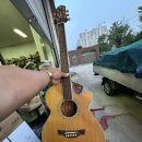 통기타(중급A) 이미지