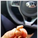 밝은소리보청기&청각재활센터 이미지