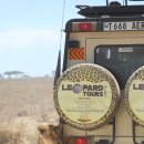 세렝게티 이미지