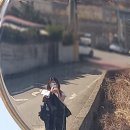 사회복지법인 월성어린이집 | [보육 실습] 어린이집 실습 사전 준비 - 2단계 실습어린이집 사전 방문 &amp; 필수 서류