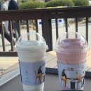 [글로빅스] &#39;EL724 인증&#39; 친환경 생분해 빨대 리뷰🤍 (+외암리민속마을 맛집 &#39;솔뫼장터&#39;)
