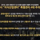 플렉스데시앙 이미지