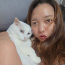 원미장 | 대전 도안동 미용실 깔끔한 시술이 가능한 1인미용실 송인원미장