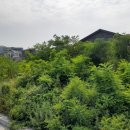 고운동 주민센터 북측 이미지