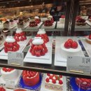 수원-1945 | 광화문 파리바게트 광화문1945점 초코베리 땡큐케이크 후기