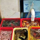 민락회타운시장 | 광안리 야경과 함께한 민락회타운 회 포장 후기