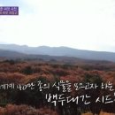 유씨드 이미지