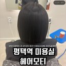 모티 | 평택역 미용실 헤어모티에서 받은 크리닉과 컷트 후기