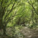 사계절닷컴 이미지