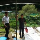 라파엘농장 이미지