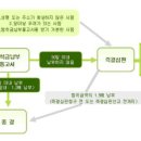 손해사정행정사사무소 이미지