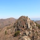 양명자연농장 이미지