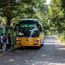 대천환승정류장 이미지