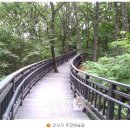 개화산 약사사 삼거리 이미지