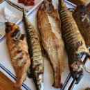 왔다 생선구이