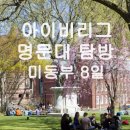 동부-8 이미지