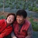 순애농장 이미지