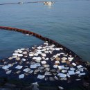 유창일 행정사 이미지