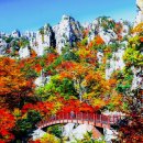 아버지 조심하세요 아들이 보낸 문자 메세지 경고문 이미지