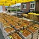 튼튼가정의학과의원 이미지