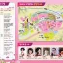 코스모스와 메밀가든 이미지