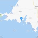 지니비치향 이미지