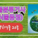식물동정-----(양치식물 20종 영상으로 공부하기) 이미지