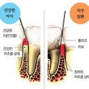 연세하늘치과 이미지