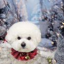 구르미살롱 이미지