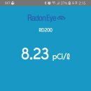 네오그린 이미지