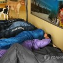 농촌진흥청(국립축산과학원) 이미지