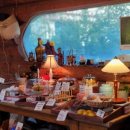 숲속통나무 이미지