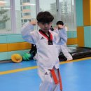 한국체대 가온태권도장 이미지